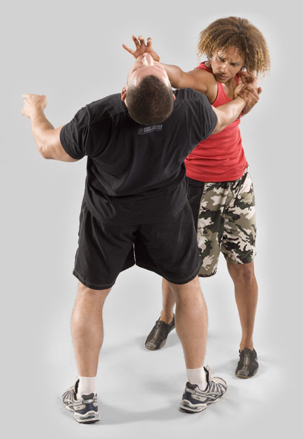 Kenpo 2 U Private Self Defense Lessons